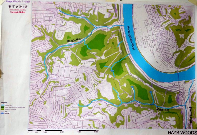 Map of Hays Woods: woodland, streams, interior forest, 2005 (by Studio for Creative Inquiry, CMU)