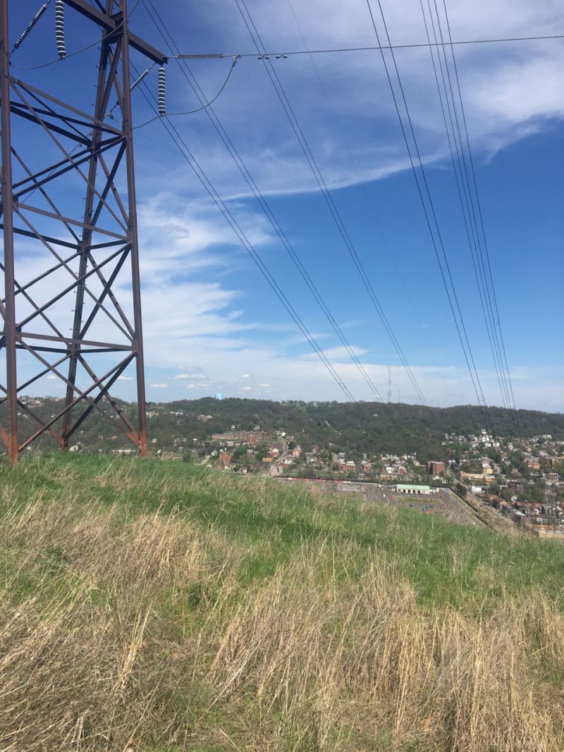 View of Hazelwood from Hays Woods (photo by Western PA Conservancy)