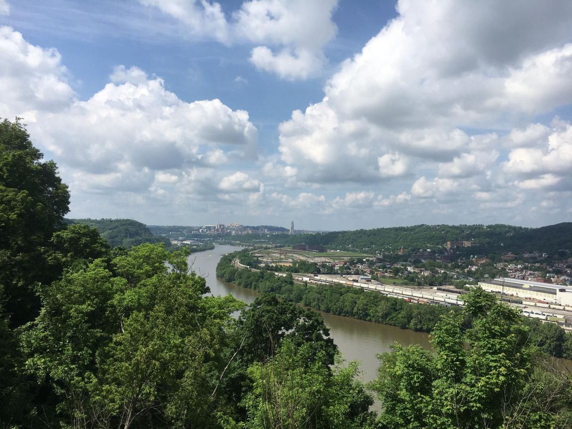 Hays Woods view looking northwest, May 2018 (photo by Todd Hooe)